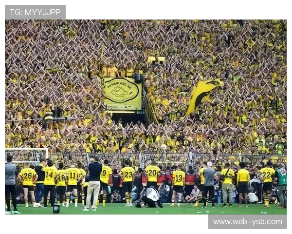 多特蒙德官方宣布签下17岁克鲁塞罗左后卫考阿-普拉特斯